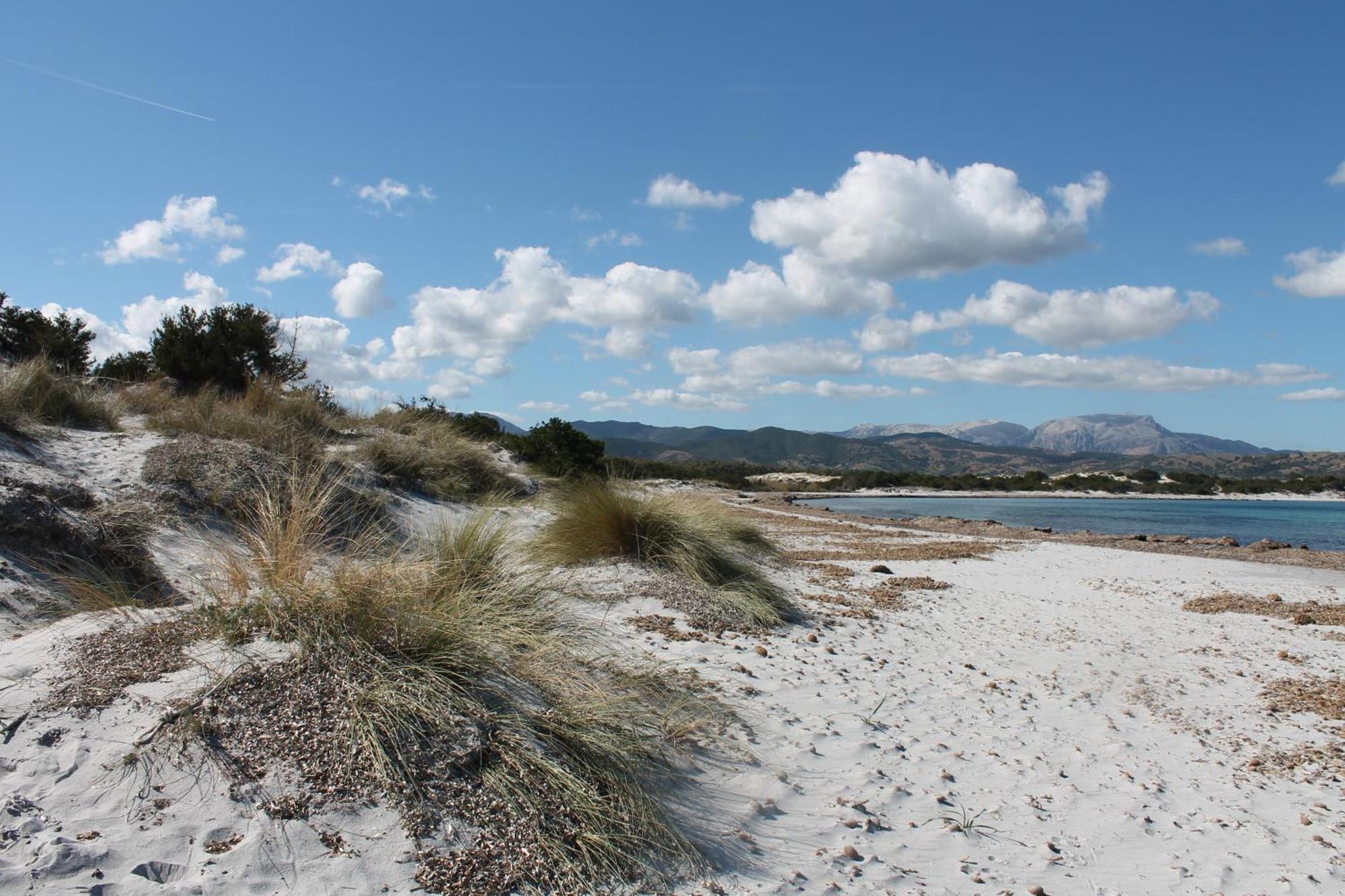 Villetta 1.2 Km Dalla Spiaggia Budoniaffitti Tanaunella Bagian luar foto