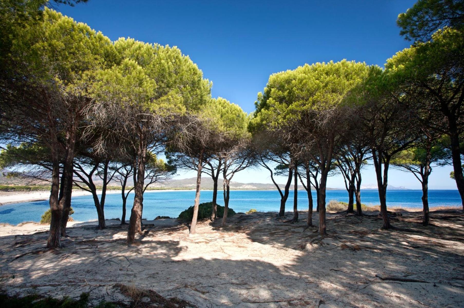 Villetta 1.2 Km Dalla Spiaggia Budoniaffitti Tanaunella Bagian luar foto